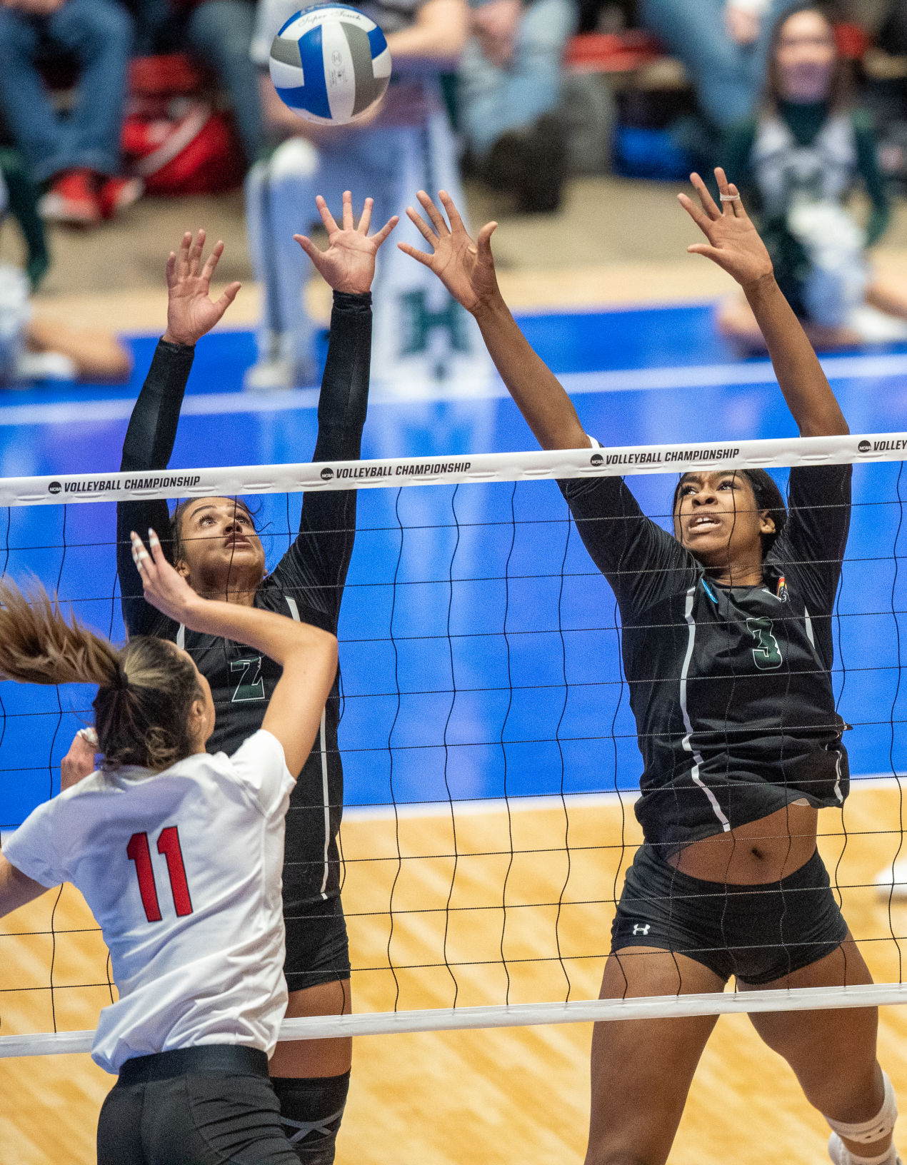 Nebraska Volleyball vs. Hawaii Photo No. 14